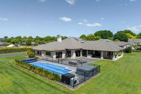 Photo of property in 129a Moffat Road, Bethlehem, Tauranga, 3110