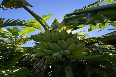 Photo of property in 187 Kuaotunu Wharekaho Road, Kuaotunu, Whitianga, 3592