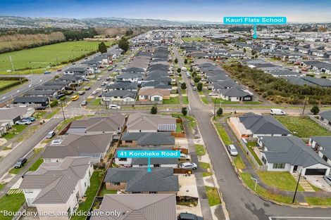 Photo of property in 41 Koroheke Road, Takanini, 2110