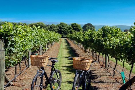 Photo of property in 49 Burgundy Drive, Martinborough, 5711