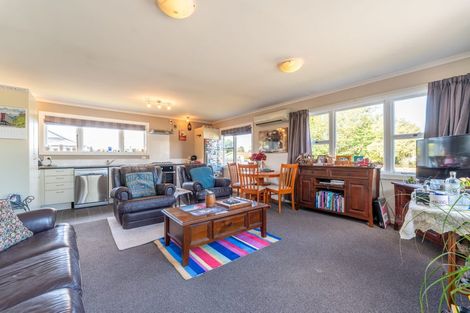 Photo of property in 221 Talbot Street, Geraldine, 7930