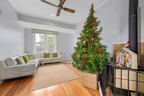 Photo of property in 17 March Street, Spring Creek, 7202