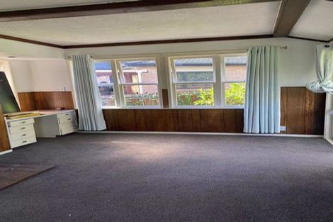 Photo of property in 25 Ellis Avenue, Mount Roskill, Auckland, 1041