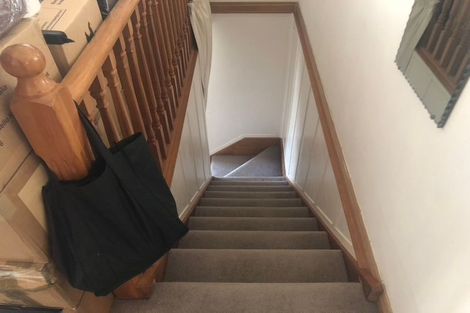 Photo of property in 19 Priscilla Crescent, Mornington, Wellington, 6021