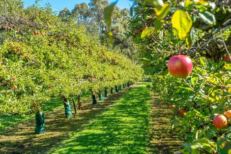 Photo of property in 119 Paekakariki Hill Road, Pauatahanui, Porirua, 5381