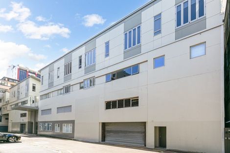 Photo of property in Dixonlane Apartments, 6/7 Feltex Lane, Te Aro, Wellington, 6011