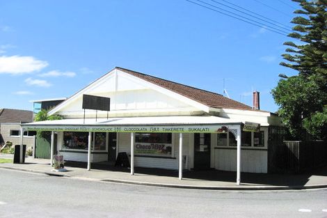 Photo of property in 141 Nayland Street, Sumner, Christchurch, 8081