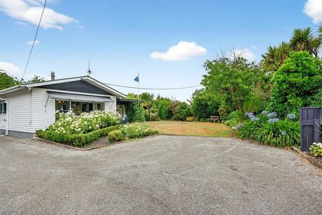 Photo of property in 31 Titoki Street, Lansdowne, Masterton, 5810