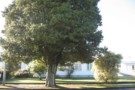 Photo of property in 56 Bedford Road, Marewa, Napier, 4110