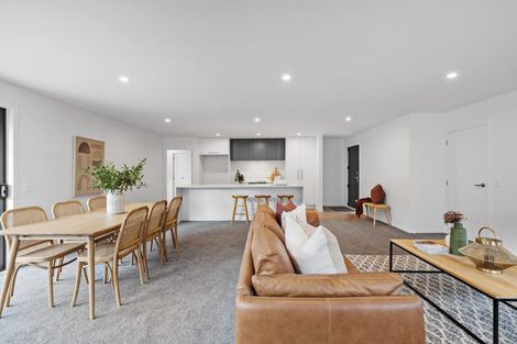 Photo of property in 21a Franklin Avenue, Hokowhitu, Palmerston North, 4410