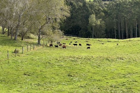Photo of property in 61 Whites Road, Seacliff, Waikouaiti, 9471