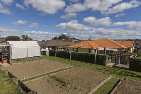 Photo of property in 12 Cotswold Place, Ohauiti, Tauranga, 3112