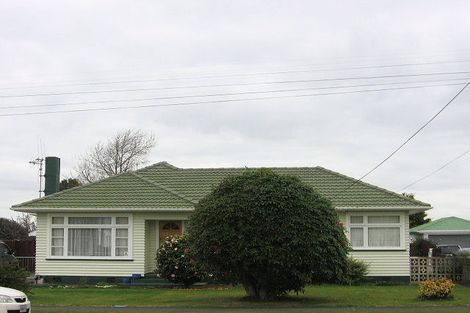 Photo of property in 32 Carlisle Street, Levin, 5510