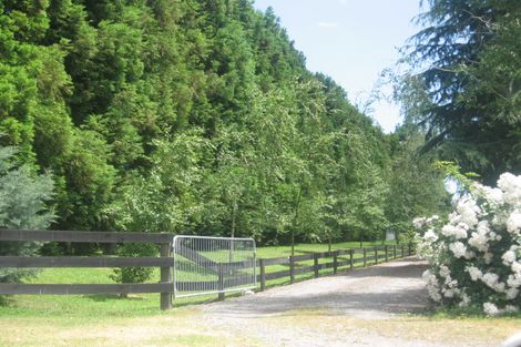 Photo of property in 1668 Old Coach Road, Pukehina, Te Puke, 3186