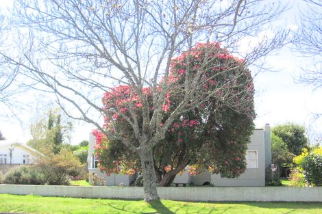 Photo of property in 18 Larch Street, Victoria, Rotorua, 3010