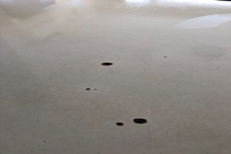 Photo of property in 1/94 Springfield Road, St Albans, Christchurch, 8014