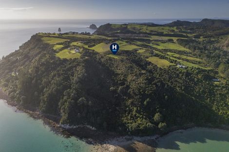 Photo of property in 404a Lees Road, Hahei, Whitianga, 3591