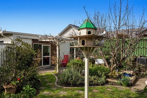 Photo of property in 31 James Street, Whakatane, 3120