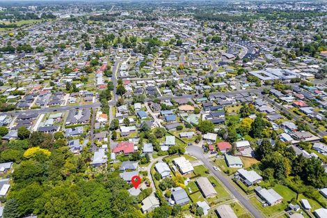 Photo of property in 4 Mcconnell Lane, Chartwell, Hamilton, 3210