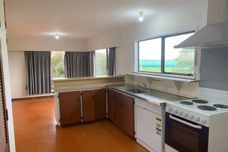 Photo of property in 223 Wright Road, Waiau Pa, Pukekohe, 2679