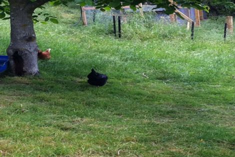 Photo of property in 44 Early Valley Road, Lansdowne, Christchurch, 7672