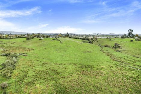 Photo of property in 88 Exelby Road, Burbush, Hamilton, 3289