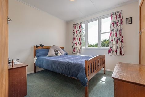 Photo of property in 23 Hennesey Road, Shannon, Palmerston North, 4474