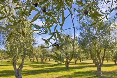 Photo of property in 327 Georges Road, Glasnevin, Amberley, 7482