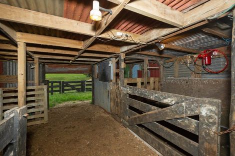 Photo of property in 775 Whakamarama Road, Whakamarama, Tauranga, 3179