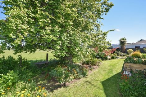 Photo of property in 117 Tyne Street, Mosgiel, 9024