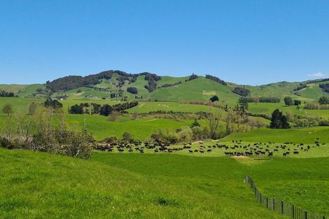 Photo of property in 82 Hicks Road, Maungatautari, Cambridge, 3494