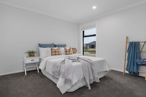 Photo of property in 79 Hinemoa Street, Levin, 5510