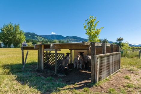 Photo of property in 86 Rarangi Road, Rarangi, Blenheim, 7273