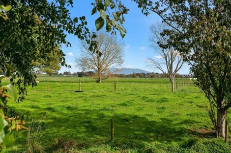 Photo of property in 66 Mill Road, Ohaupo, 3881