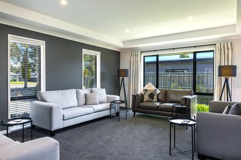 Photo of property in 243 Taylor Pass Road, Witherlea, Blenheim, 7201