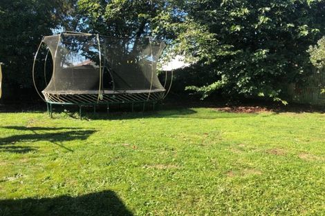 Photo of property in 14 Saxton Street, Levin, 5510