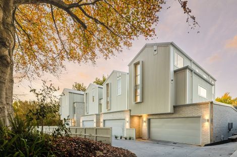 Photo of property in 1/2 Woodstock Road, Fairfield, Hamilton, 3214