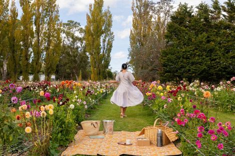 Photo of property in 58 Moroa Road, Tauwharenikau, Featherston, 5771