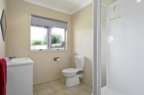 Photo of property in 43 Darraghs Road, Brookfield, Tauranga, 3110