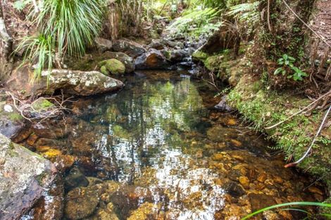 Photo of property in 125b Sailors Grave Road, Pumpkin Hill, Whitianga, 3591