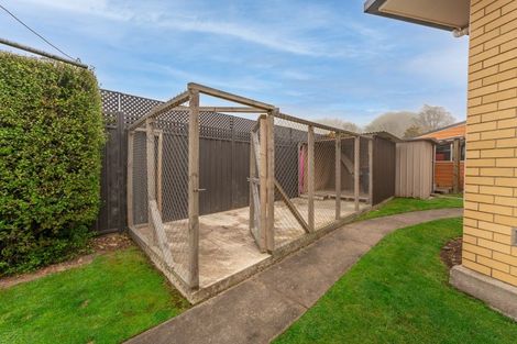 Photo of property in 5 Williamson Place, Geraldine, 7930