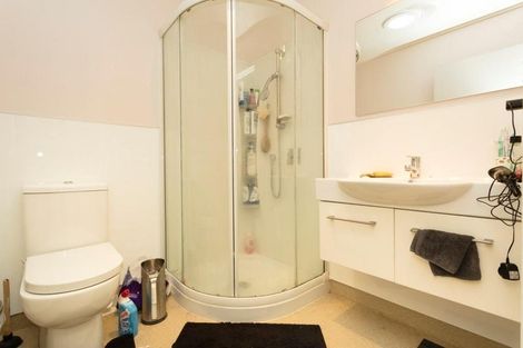 Photo of property in 44a Filleul Street, Dunedin Central, Dunedin, 9016
