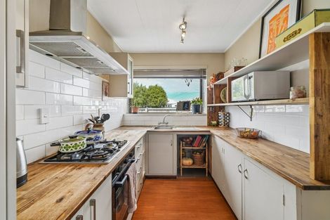 Photo of property in 55 Tyrone Street, Belfast, Christchurch, 8051