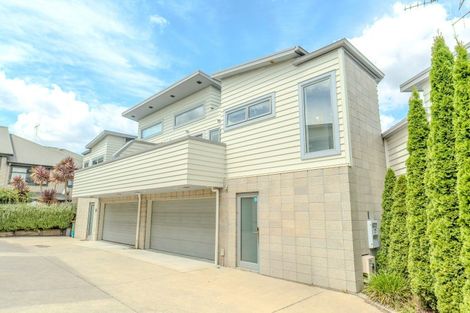 Photo of property in 18c Kelvin Place, Hamilton East, Hamilton, 3216