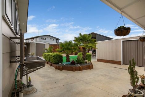 Photo of property in 24 Tawhara Place, Edgecumbe, 3120