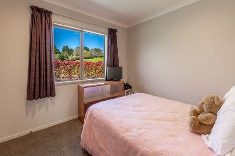 Photo of property in 44 Tim Road, Whakamarama, Tauranga, 3180