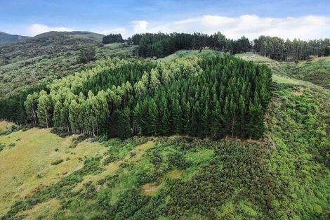 Photo of property in 109 Mckendry Road, Woodside, Outram, 9074