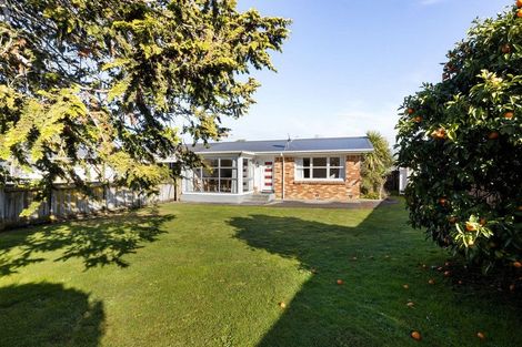 Photo of property in 3/20 Queen Street, Cambridge, 3434