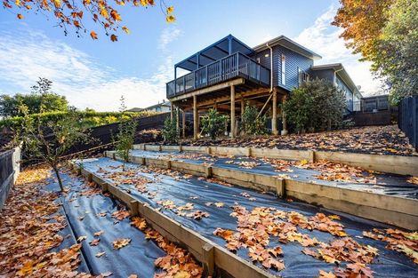 Photo of property in 17 Vogel Place, Cambridge, 3434