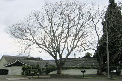 Photo of property in 25 Walnut Grove, Omokoroa, 3114